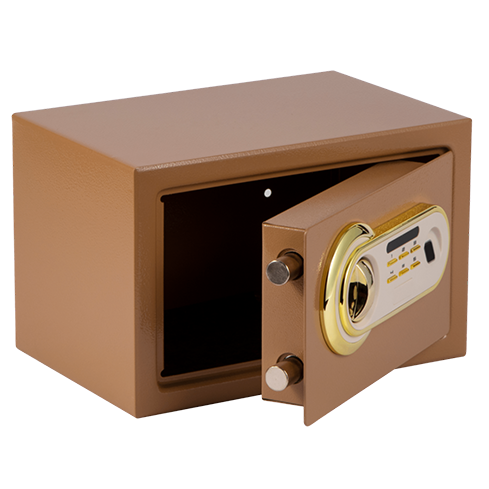 Fingerprint Safe
