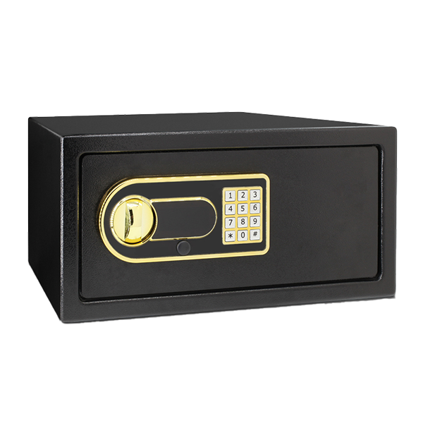 Hotel Safe